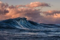 Ban on use of Anti-Fouling Systems that contains Cybutryne